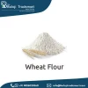 Premium Quality of Natural Grain Product Whole Wheat Flour at Factory Price