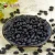 Import Price of black kidney bean with best quality 500-550pcs/100g from China