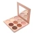 Import Private label 9 colors cruelty free highlighter and contour palette from China