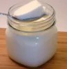 probiotic frozen homemade yogurt
