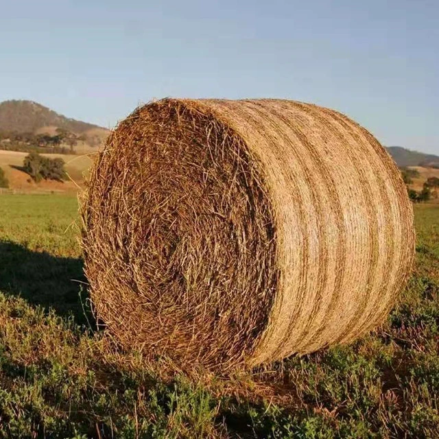 Professional hay and straw baler machine at good price