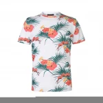 Professional Logo Print Cotton Custom T Shirt Men T Shirt for men