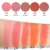 Professional wholesale waterproof makeup single color blusher with blush