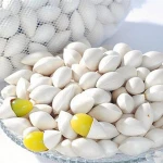 Quality Ginkgo Nuts For Sale