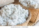 Raw Cotton