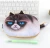 Import Realistic Cat 3D Print Hot Selling fashion durable light pencil box cat pencil case from China