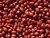Import Dried Red Kidney Beans, Frijol Rojo de Seda from China