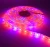 Import Red Blue 3:1 4:1 5:1 Full spectrum DC12V smd 5050 strip led grow lighting for Greenhouse Hydroponic Plant Growing from China