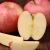 Import Red Delicious Fresh Apples from USA