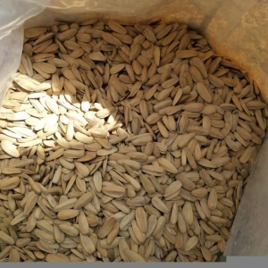 Roasted and salted  Sunflower Seeds