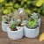 Import ROOGO Imitated Stone Resin Flower Plant Pot for garden decoration from China