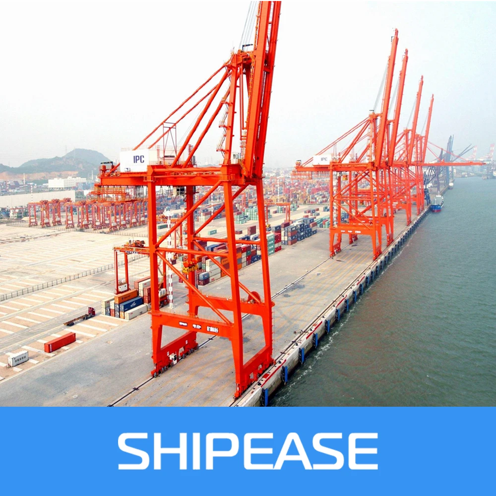 Sea Cargo Freight DDP To UK Southampton From China XIamen/Fuzhou