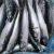 Import Sea Frozen Whole Round Pacific Mackerel fish on sales frozen seafood canned food from China