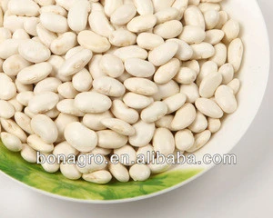 sell chinese new crop large white kidney beans
