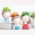 Import Set 4 Cute Little Boy Flower Pot Resin Succulent Planter Bonsai Pot Flowerpot For Office Home Decor from China
