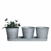 Set of 3 Galvanized herb flower pot