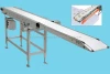 Shuttle type food belt conveyor for pitch supply