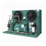 solar panel cold room with Bitzer compressor,panel and door