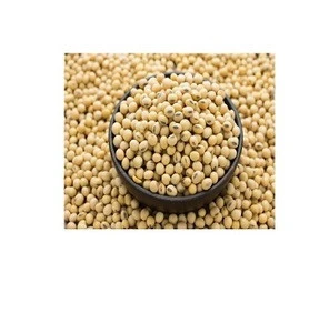 Soybeans ,Non gmo yellow soybean ,soya bean seed