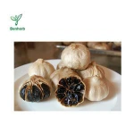 SR Gralic Powder Natrual black garlic extract 1%~10% Allicin In Bulk