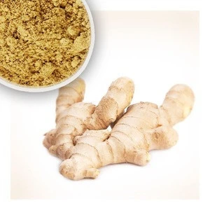 SR Trade Assurance Hot Selling  Natural Ginger Root Extract 5% Gingerols In Bulk Price