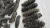 Import Sun Dried Sea Cucumber from China