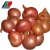 Import The Newest Crop 50mm Size Red Onion, Bulk Fresh Red Onion Importers In Vietnam for Sale, Fresh Red Onions For Sale from China