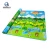 Import Thick Non-toxic Xpe/ Epe Education Foam Play Mat Manufacturer from China