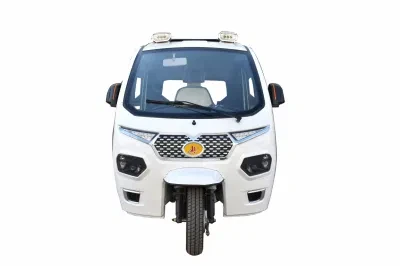 Three Wheel Motorcycle Gasoline Motor Rickshaw