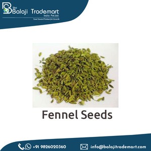 Top Quality Wholesale Natural Fennel Seed Spices