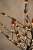 Import Topsale 64led amber leaf led bonsai tree lights from China