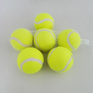 Training and Match Tennis Ball