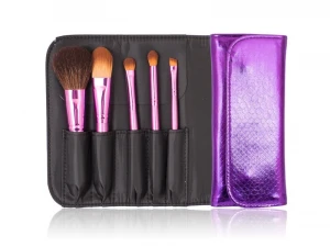 Travel Set Makeup Brushes 5PCS Portable Cosmetic Tool Kit
