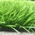 Import Trending hot products sports flooring gym flooring artificial grass from China