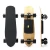 Import USA stock ANZO-3 300w*2 dual drive motor fish electric skateboard from USA