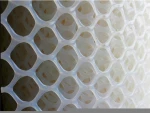 White extruded mesh/extruded plastic mesh/netting/plastic plain net
