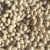 Import White Kidney Beans Navy White Bean from China