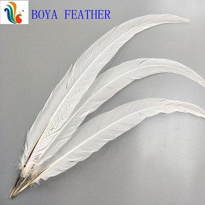 White Silver Pheasant Feather