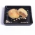 Import Wholesale chinese white kidney bean paste filled moon cake Redstar Brand mooncake from China