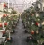 Import Wholesale garden plastic vertical flower pots planter Strawberry pot stackable pots for plants from USA