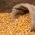 Import Wholesale Good Quality Organic Buckwheat Hulled from Singapore