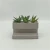 Import Wholesale mini artificial plants in pots indoor artificial ornamental plants from China