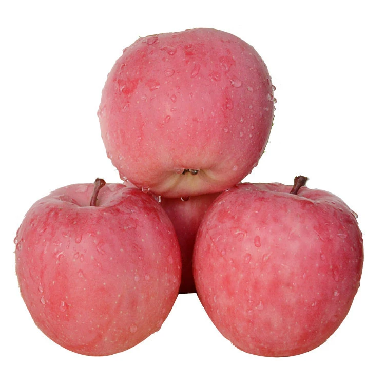 wholesale new  fresh fuji apples