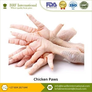 Wholesale Supplier of Delicious Taste Frozen Chicken Paws for Sale
