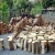 Import Wood Logs factory Wholesale eco-friendly Eucalyptus Round logs wood from Germany