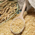WHEAT BRAN  for WHOLE SALE