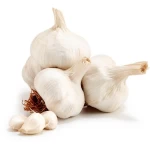 Hot Sale Cheap Price White Normal 5.0cm 1kgx10/carton Fresh Wholesale Price Buy  Fresh Garlic