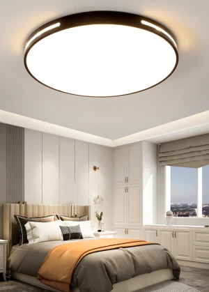 Full Spectrum LED Ceiling Light, Bedroom Light, Atmospheric Living Room Light, Master Bedroom Room, Dining Room Balcony