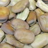 High Quality Broad Beans/ Fava Beans With Competitive new crop High quality broad beans
