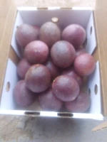 Fresh Purple Passion Fruit